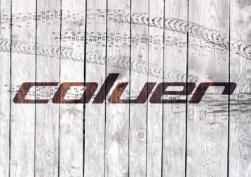 Coluer Bicycles 2015