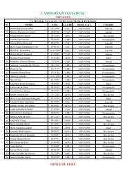 CAMPEONATO ESTADUAL - FLAVIAO