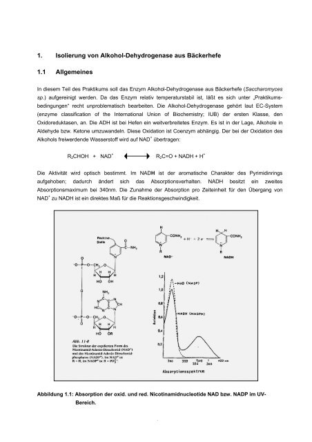 SS 2005 BIOCHEMISCHE ARBEITSMETHODEN für Biologen ...