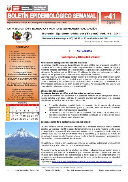 Cuales son las causas de obesidad y sobrepeso