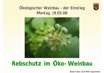 Rebschutz im Öko-Weinbau