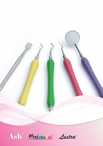 Instruments - Dentsply