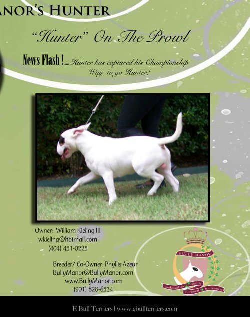 Download Aug/ Sept Edition in PDF - E Bullterriers
