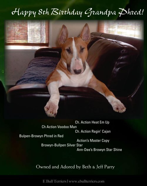 Download Aug/ Sept Edition in PDF - E Bullterriers