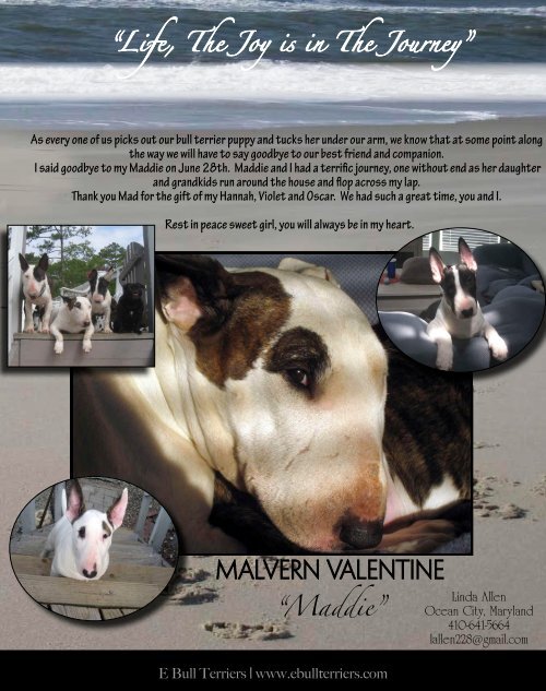 Download Aug/ Sept Edition in PDF - E Bullterriers