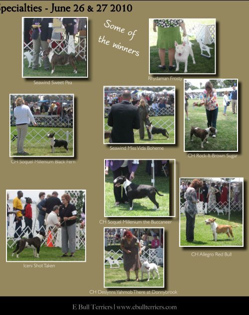 Download Aug/ Sept Edition in PDF - E Bullterriers