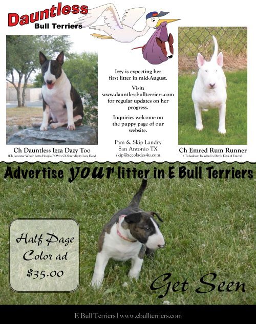 Download Aug/ Sept Edition in PDF - E Bullterriers