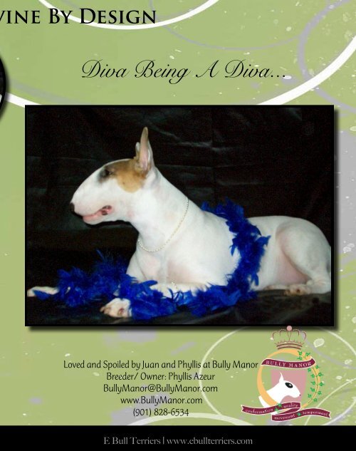 Download Aug/ Sept Edition in PDF - E Bullterriers