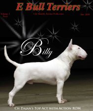 december pdf - E Bullterriers