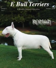 8mb file size - E Bullterriers