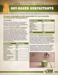 Soy-BaSed SurfacTanTS - Soy New Uses