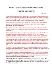 SUMMARY INFORMATION MEMORANDUM TORQUE MINING LTD