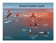 Ocean Carbon Cycle