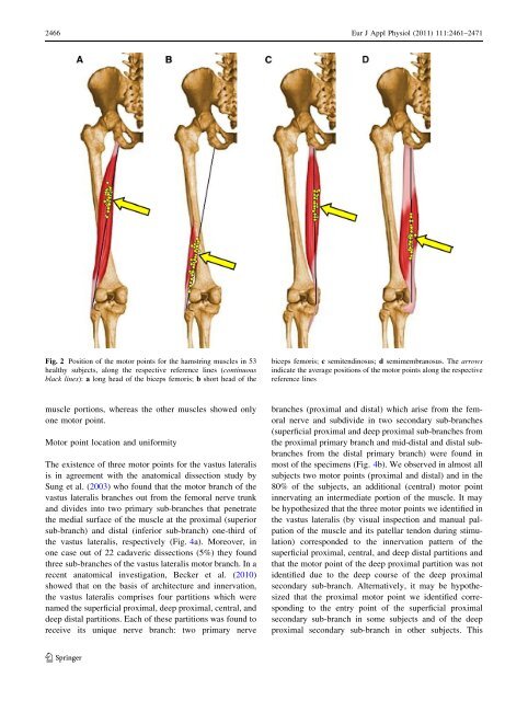 Atlas of the muscle motor points for the lower limb: implications for ...