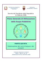 V Sistemazione dei corsi d'acqua e dei versanti - Piano Generale di ...