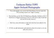 Cockayne Hatley COPO Apple Orchard Photographs