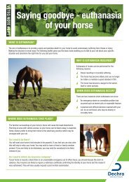 Euthanasia of your horse - Langford Veterinary Services