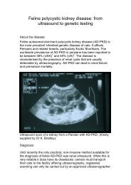 Feline polycystic kidney disease - Langford Veterinary Services