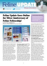 Feline Update Goes Online for Silver Anniversary of Feline Fellowship!