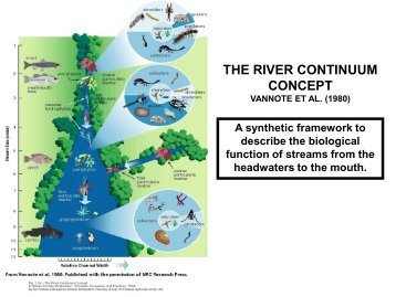 Lecture Slides - WVU Division of Forestry and Natural Resources