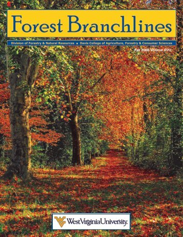Wvu Forestry And Natural Resources Wvu Forestry And Natural Resources