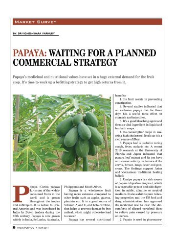 PAPAYA: WAITING FOR A PLANNED COMMERCIAL STRATEGY