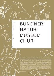 Museum vum Müller…! - Bündner Naturmuseum - Kanton Graubünden
