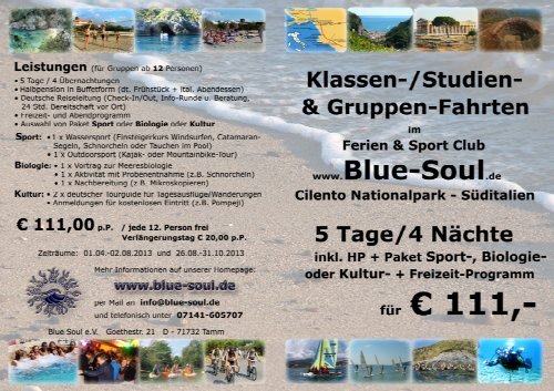 Flyer - Klassen-, Studien - Blue Soul