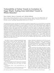 Vulnerability of Xylem Vessels to Cavitation in ... - Plant Physiology