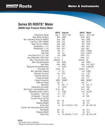 Model 3M300 - The Meter and Valve Company