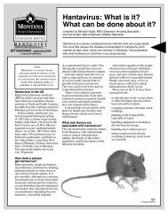 Hantavirus Information - Park County