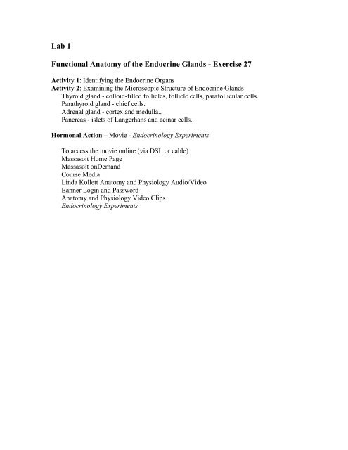 Lab 1 Functional Anatomy of the Endocrine Glands - Exercise 27