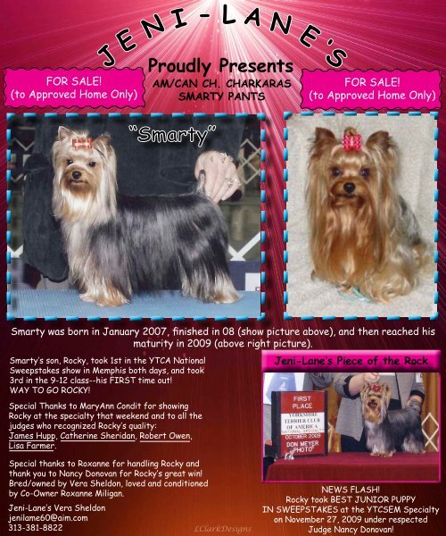 Complete Dec Edition in PDF - E Yorkshire Terriers