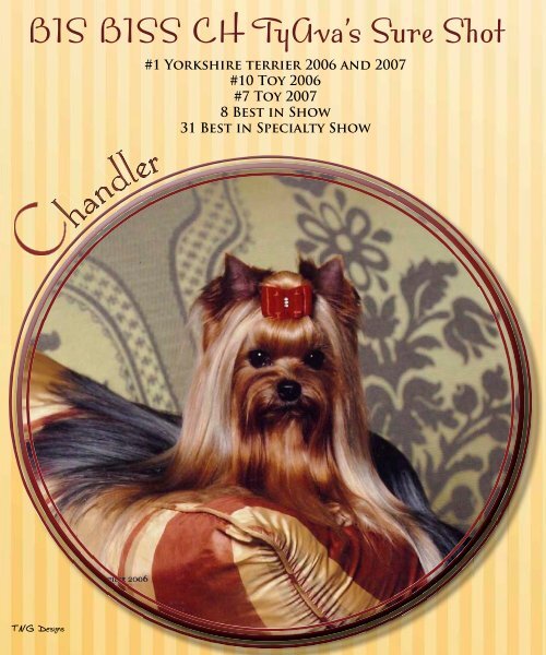 Complete Dec Edition in PDF - E Yorkshire Terriers