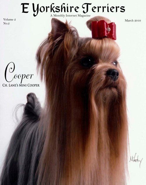 Download March Edition in PDF Format - E Yorkshire Terriers