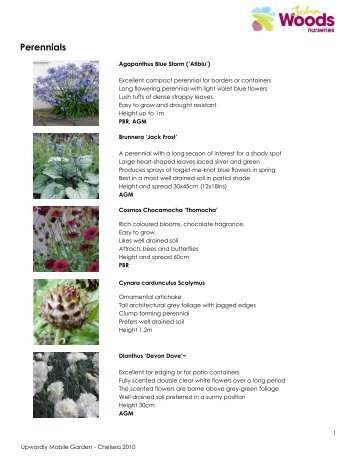 Perennials - John Woods nurseries