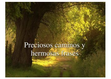 Preciosos caminos y hermosas frases - Wikiblues.net