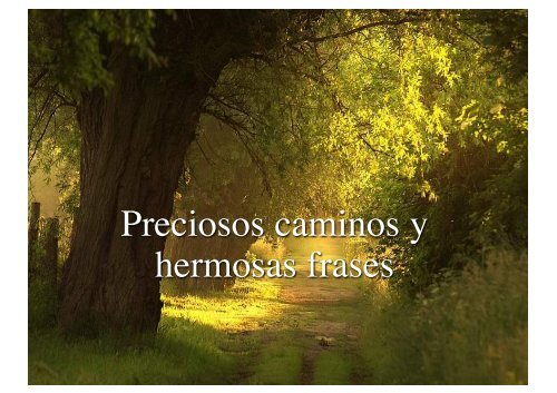 Preciosos caminos y hermosas frases - Wikiblues.net