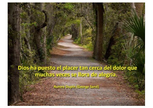 Preciosos caminos y hermosas frases - Wikiblues.net