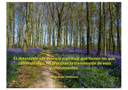 Preciosos caminos y hermosas frases - Wikiblues.net