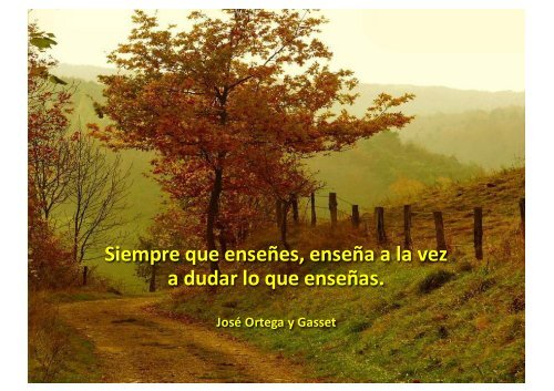 Preciosos caminos y hermosas frases - Wikiblues.net