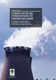 A cArbon cApture And storAge network for yorkshire And humber