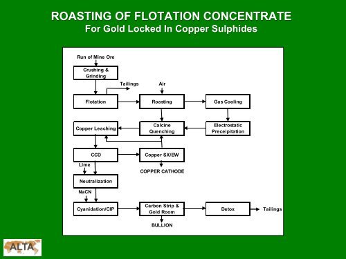 developments in the processing of refractory & complex gold ores