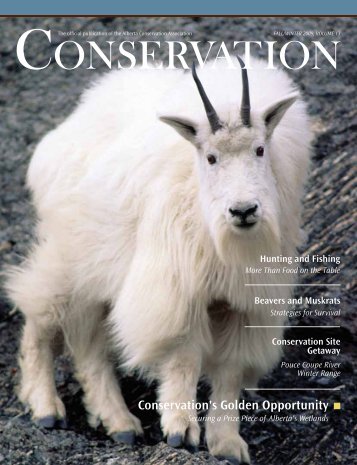 Conservation's Golden Opportunity - Alberta Conservation Association