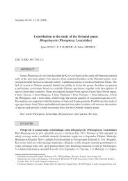 Contribution to the study of the Oriental genus Rhopalopsole ...