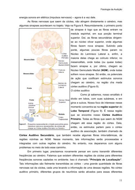 Livro CI 2008