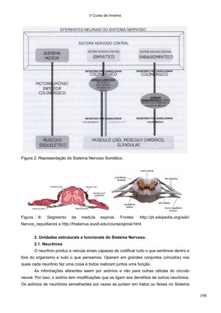 Livro CI 2008