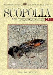 Hymenoptera: Ampulicidae, Sphecidae in - Prirodoslovni muzej ...