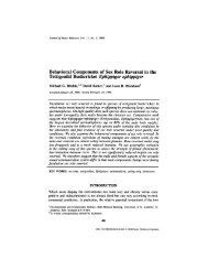 Behavioral Components of Sex Role Reversal in the Tettigoniid ...