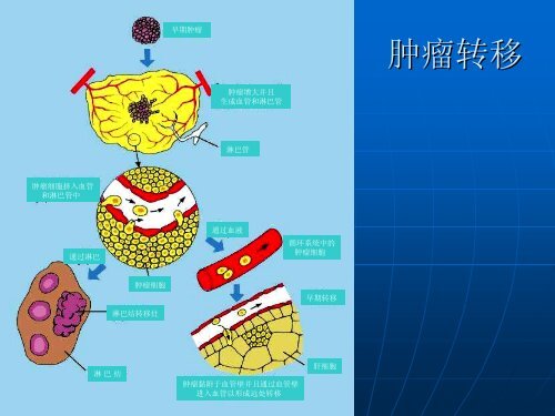 è¡ç®¡ä¸è¿ç¤è½¬ç§»